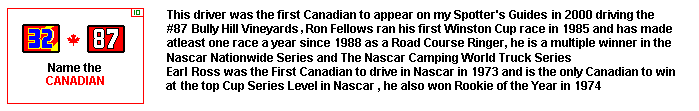 Ron Fellows  image