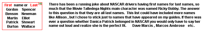 Danica Patrick image